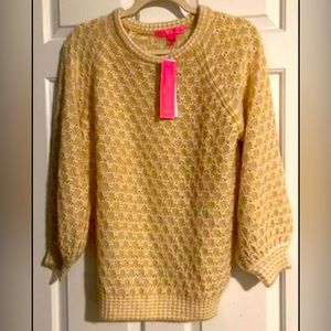 NWT Corabelle sweater size medium Sandbar